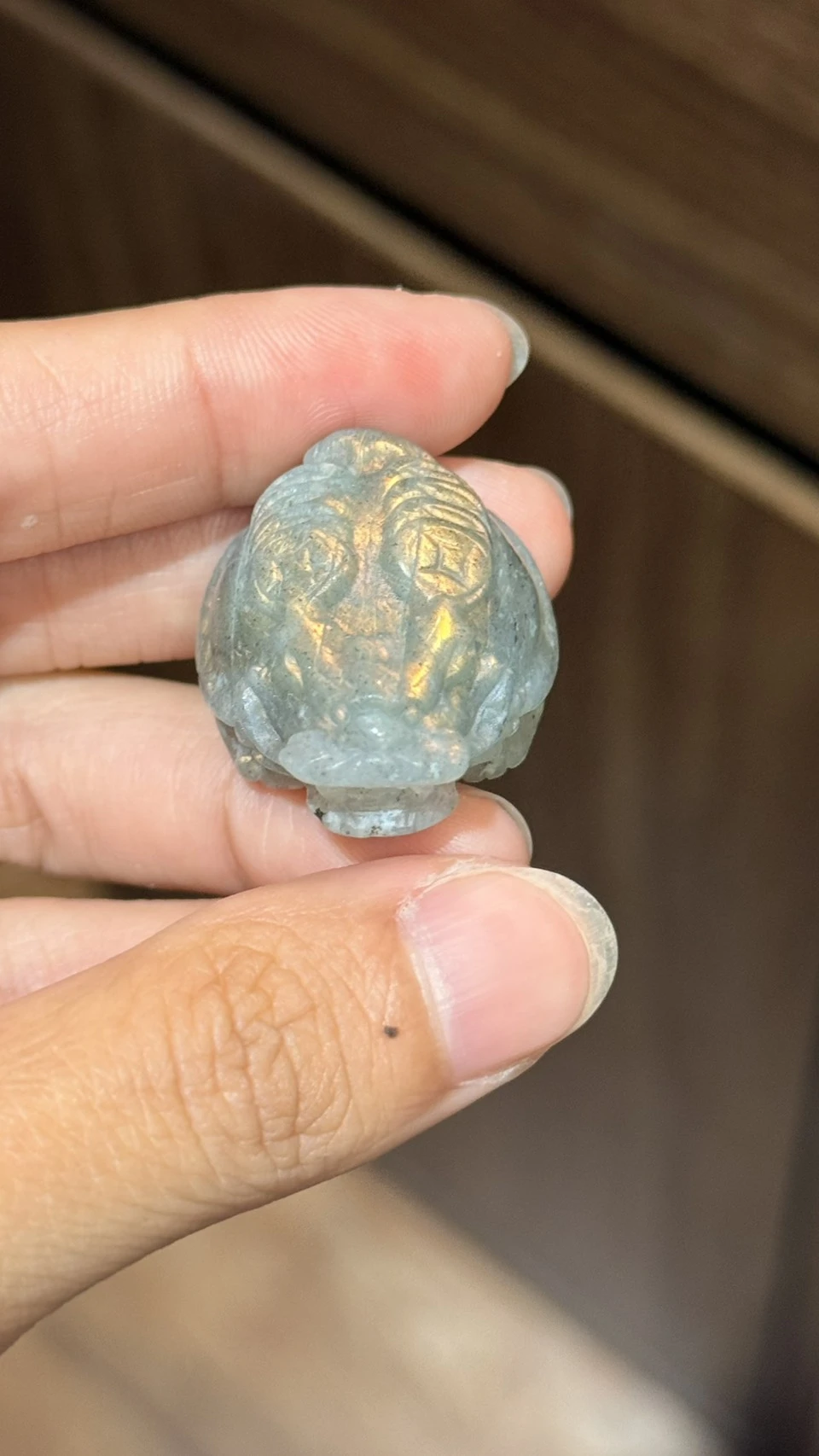 拉長石龍龜