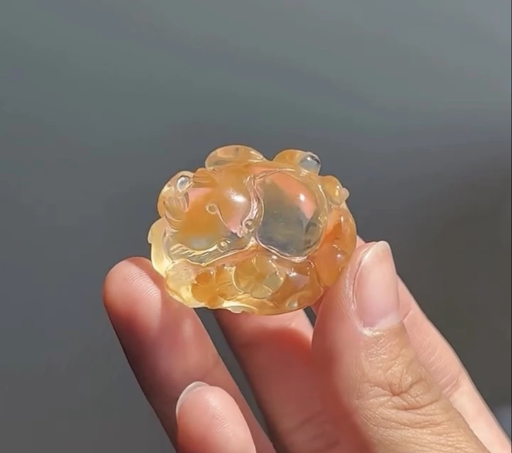 秋收黃兔毛狐狐