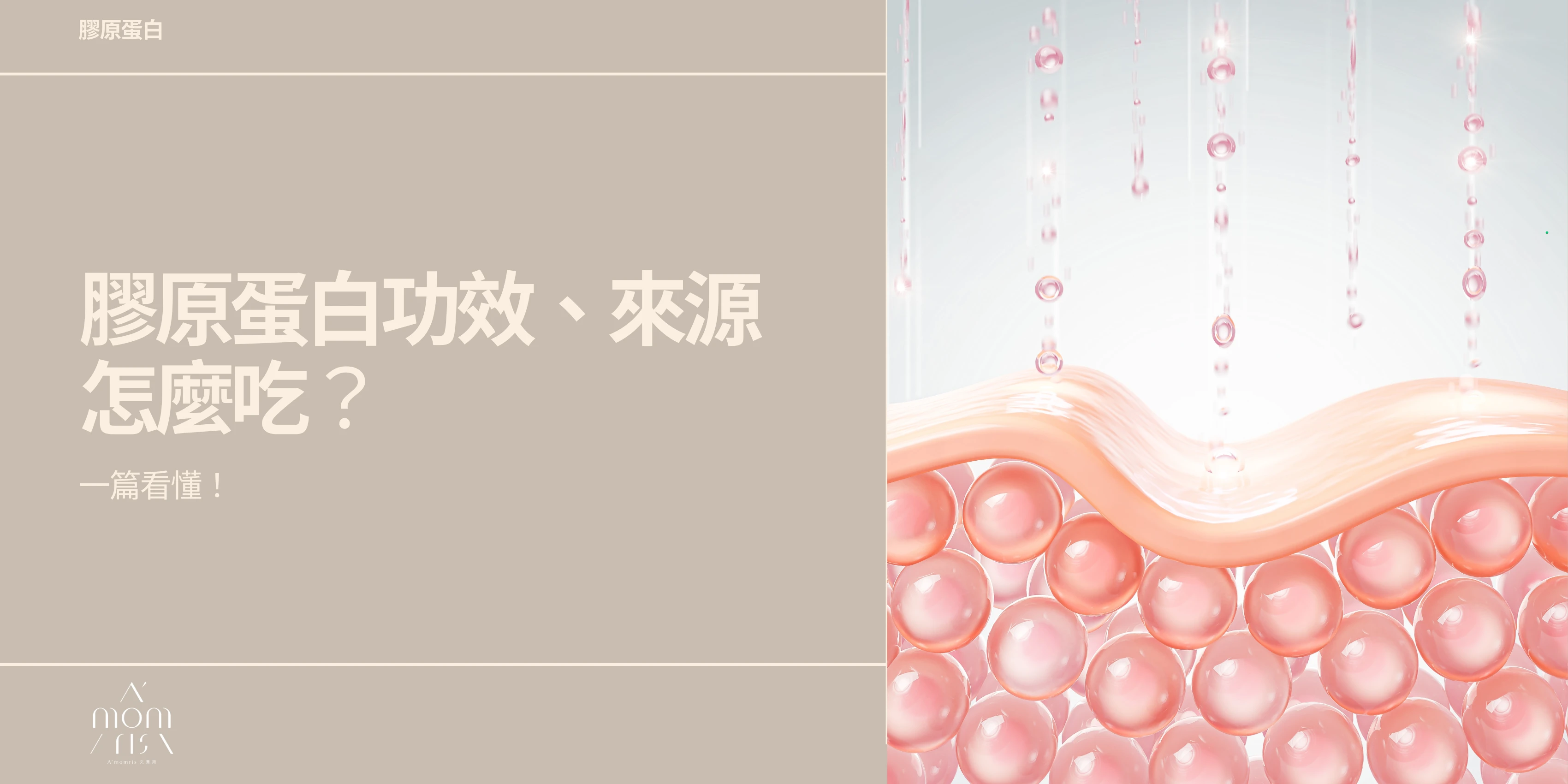 膠原蛋白功效、來源、怎麼吃，一篇看懂