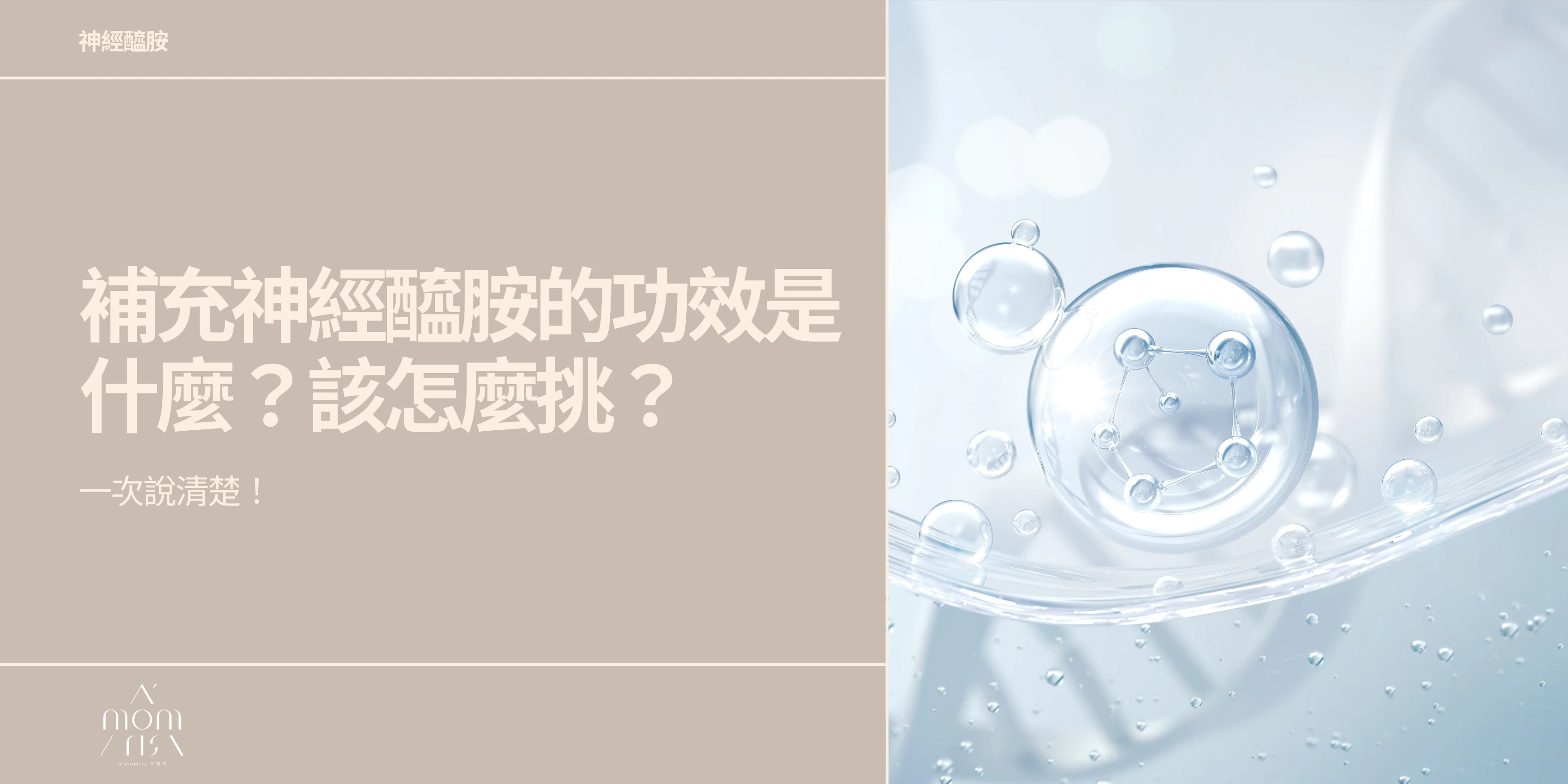 補充神經醯胺的功效是什麼？該怎麼挑？一次說清楚！
