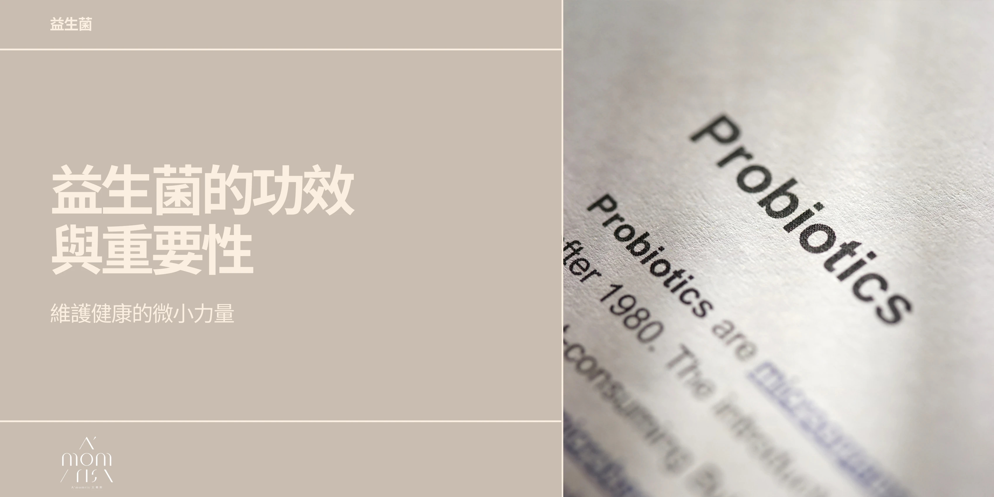 益生菌的功效與重要性：維護健康的微小力量