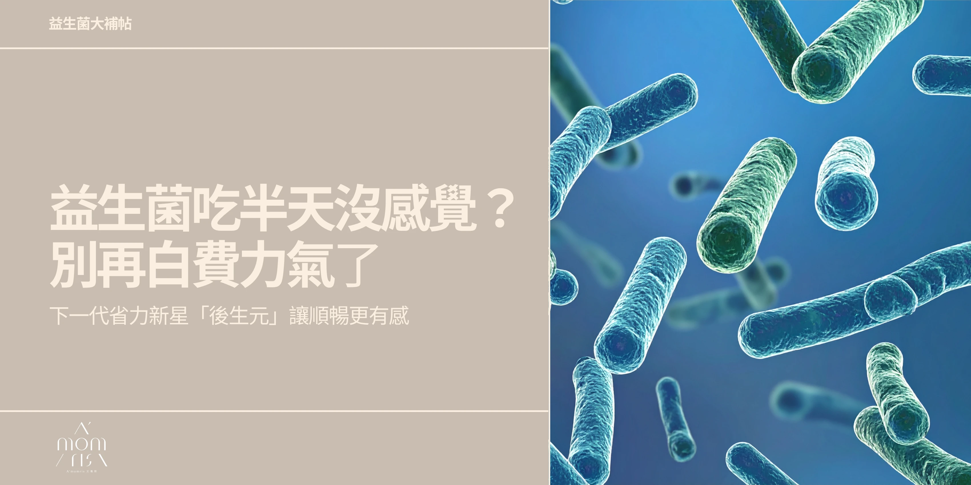 益生菌吃半天沒感覺？別再白費力氣，下一代省力新星「後生元」讓順暢更有感