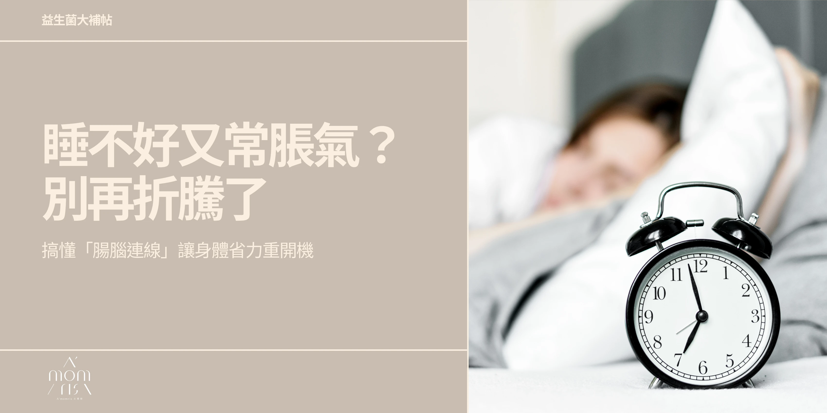 睡不好又常脹氣？別再折騰了，搞懂「腸腦連線」讓身體省力重開機