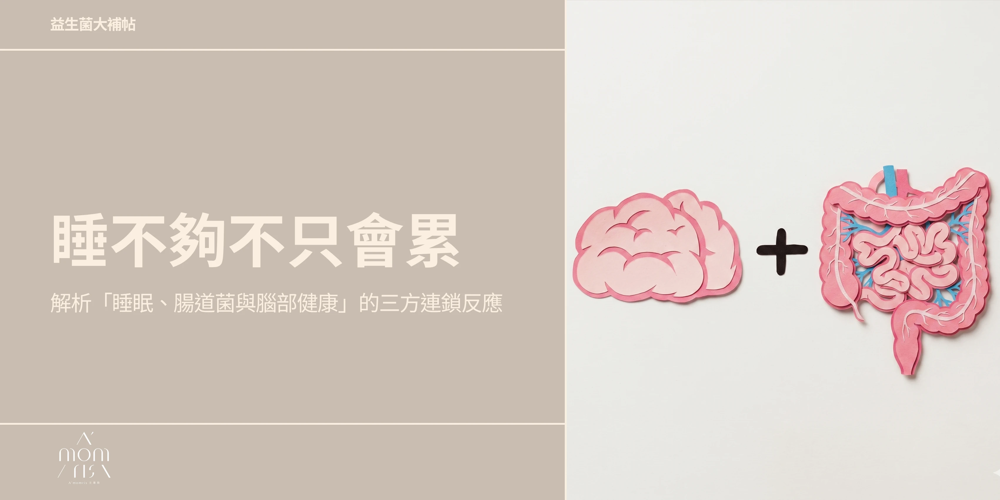 睡不夠不只會累，連肚子裡的「好菌」都在跟著熬夜！