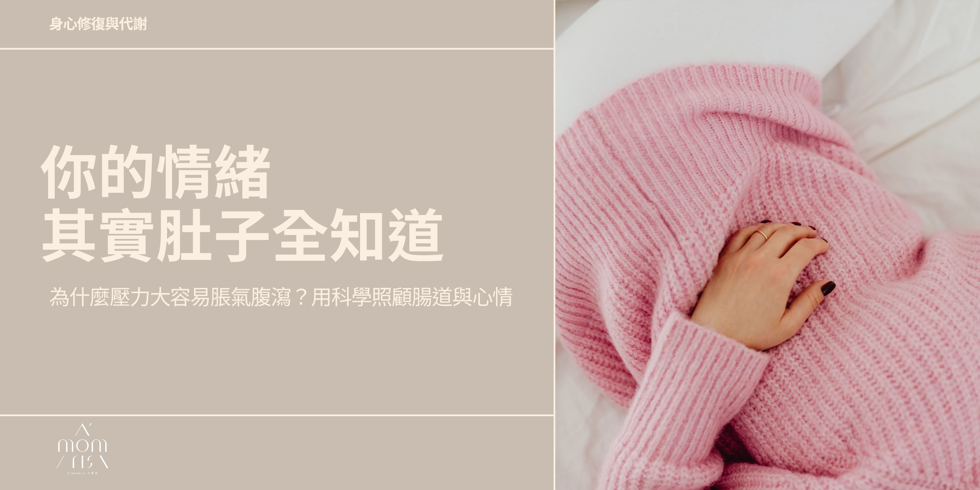 你的情緒，其實肚子全知道-為什麼壓力大容易脹氣腹瀉？用科學照顧腸道與心情