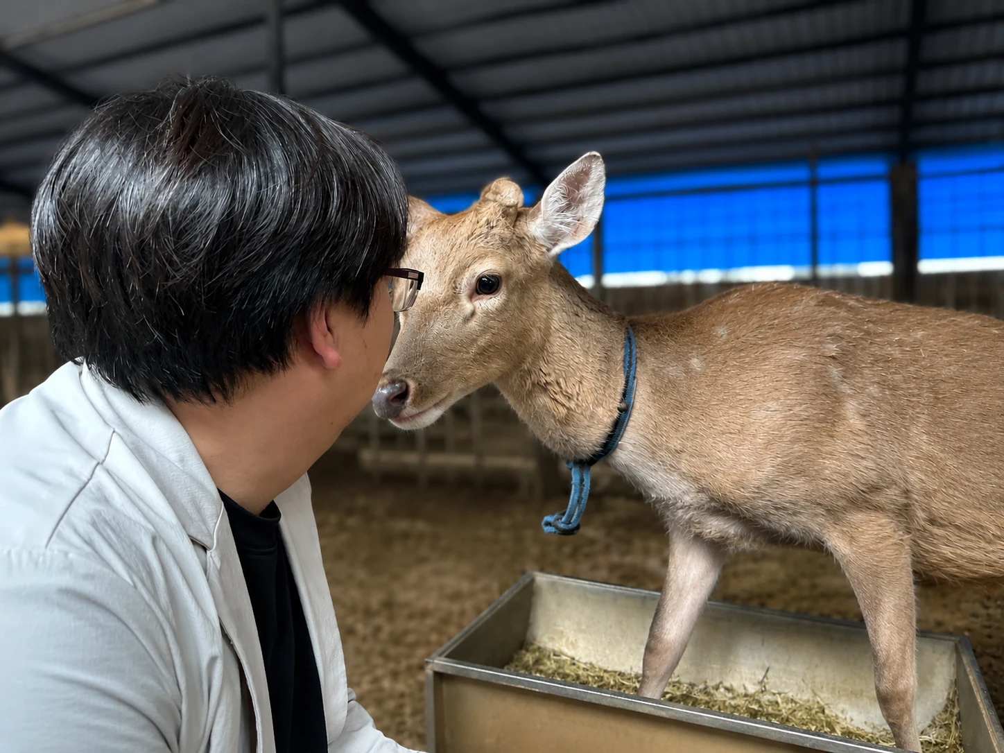 艾特勒斯 Antlers Global