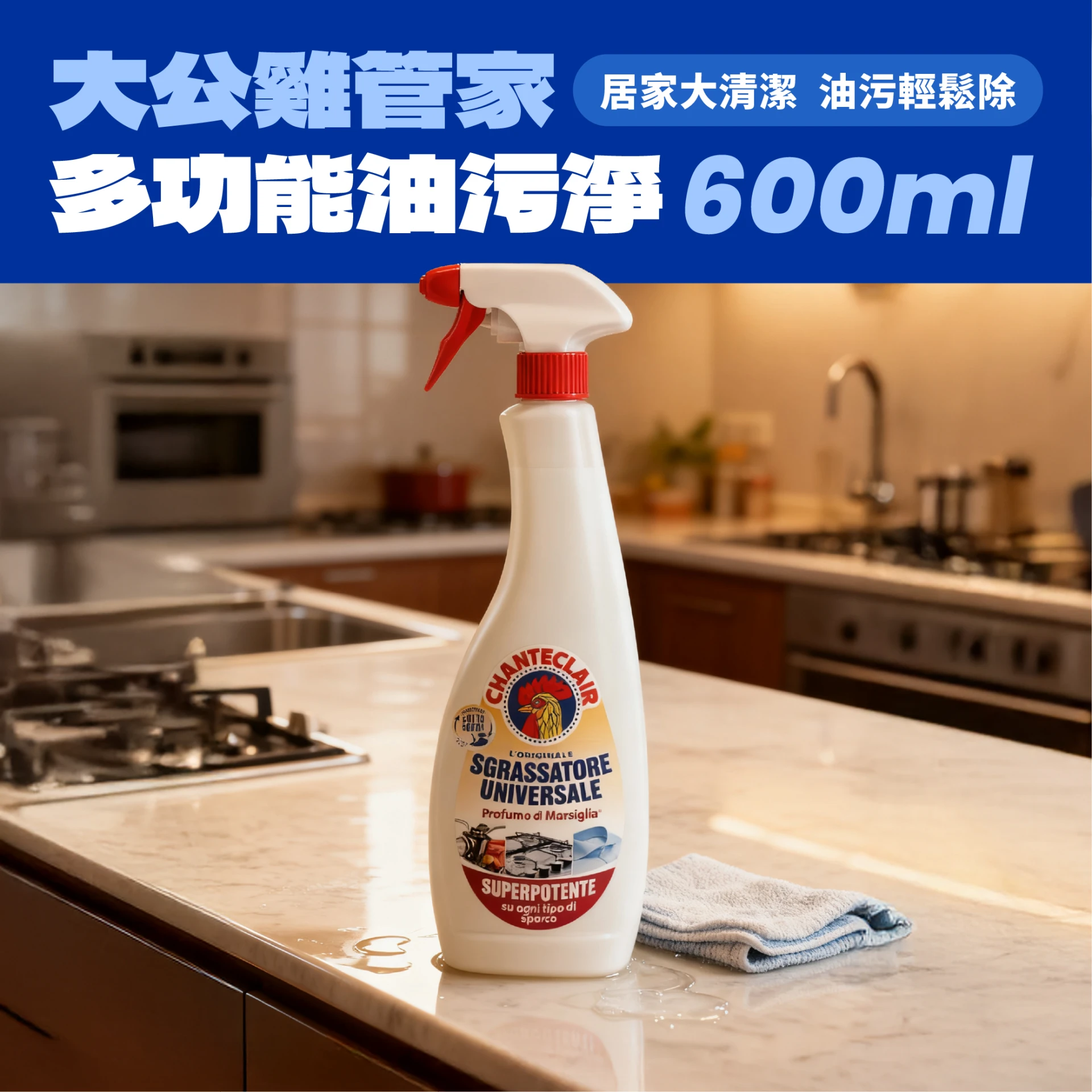 多功能油污淨 600ml｜單入