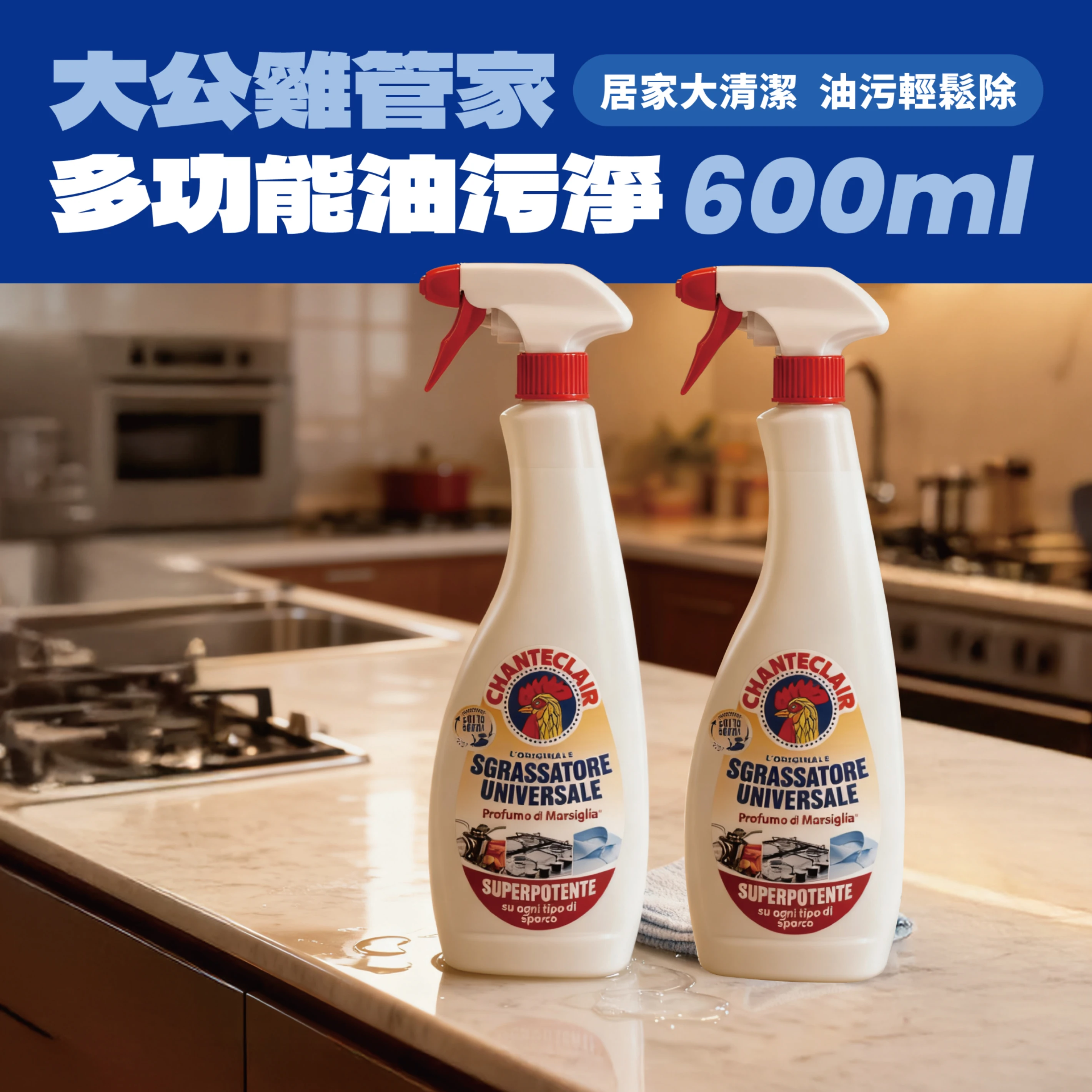 多功能油污淨 600ml｜2入