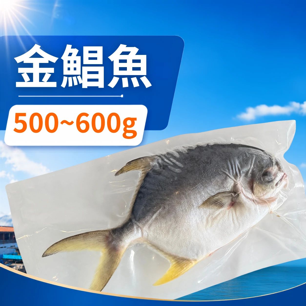黃金鯧魚