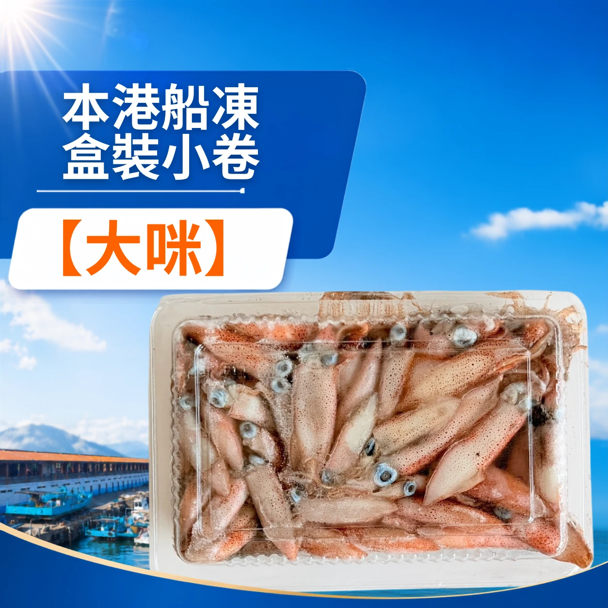 本港船凍盒裝小卷 【大咪】