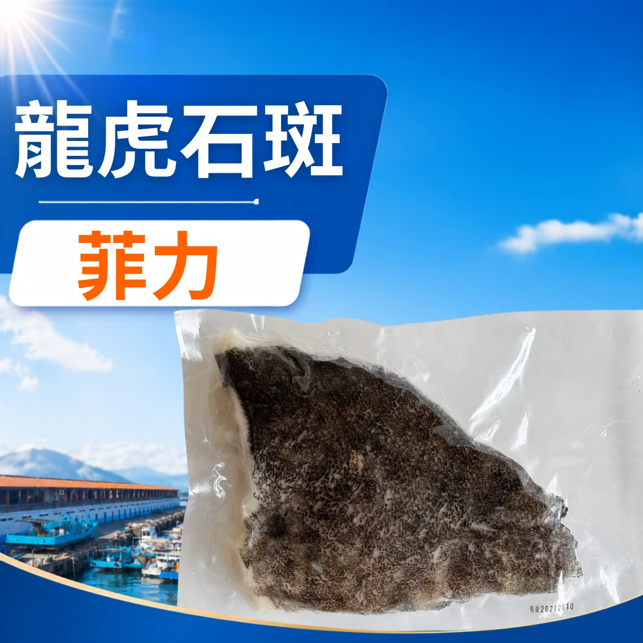 龍虎石斑菲力
