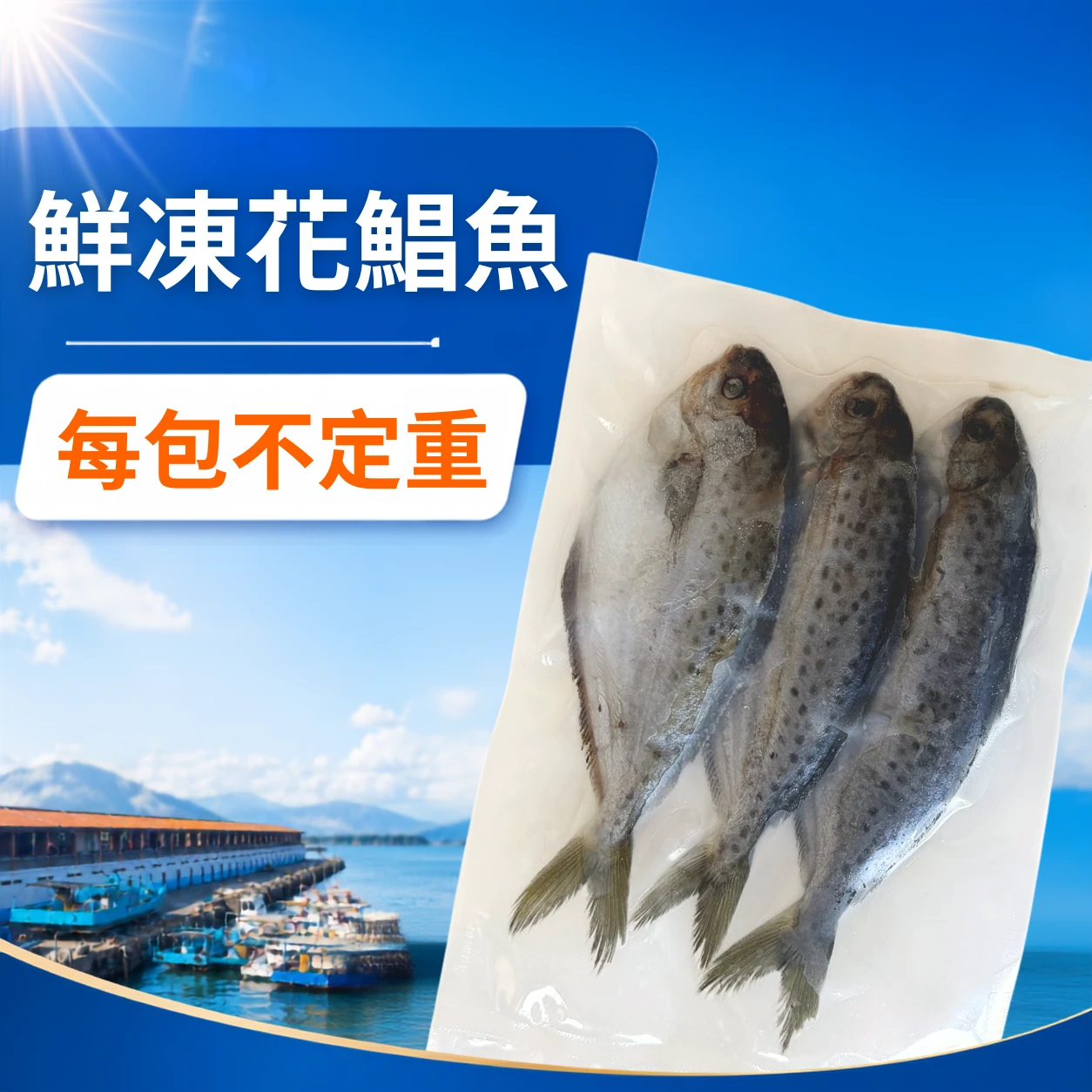 鮮凍花鯧魚