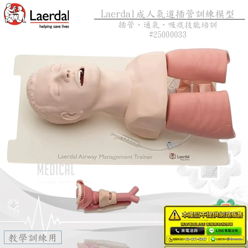 Laerdal Airway成人氣道插管安妮訓練模型#25000033
