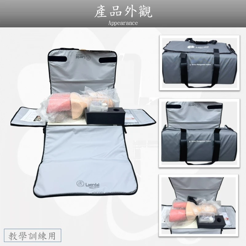 Laerdal Airway成人氣道插管安妮訓練模型#25000033