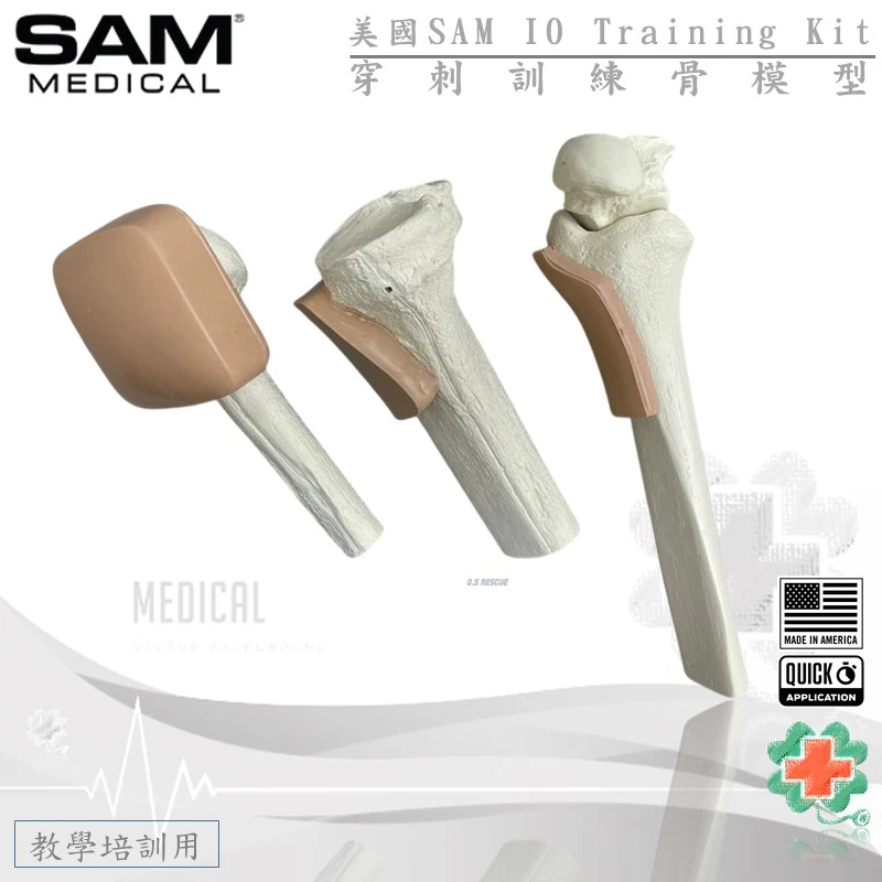 美國SAM IO 穿刺訓練骨模型