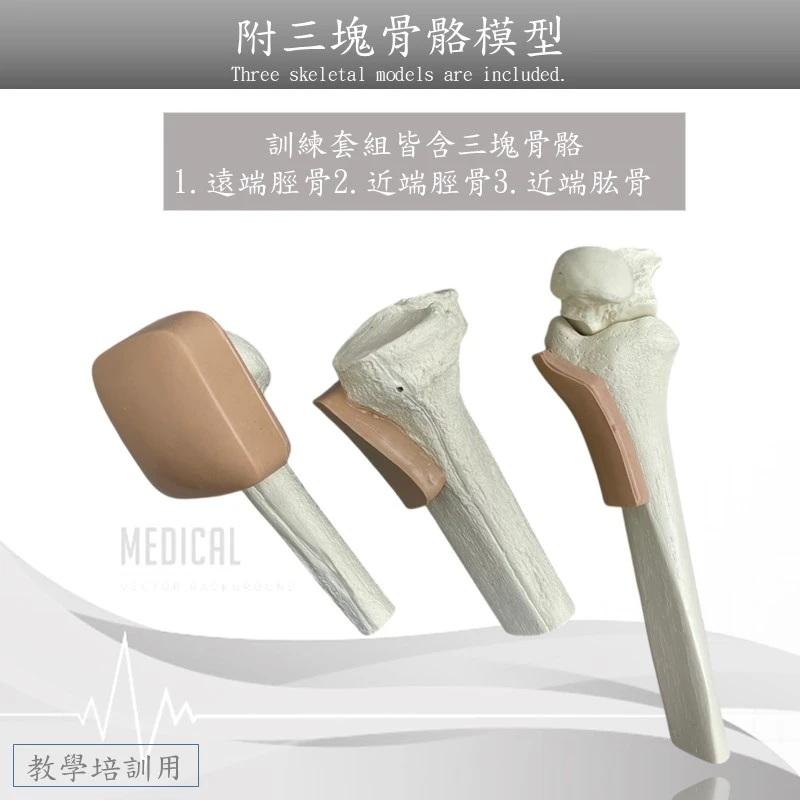 美國SAM IO Training Kit-骨內穿刺教學訓練模擬系統(網路無販售)