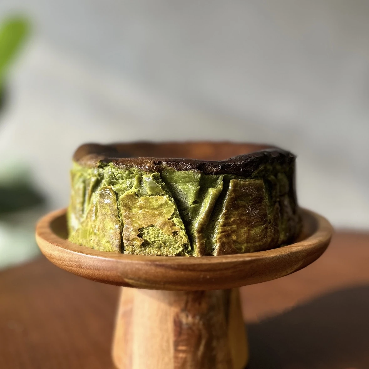 藏抹龍膽巴斯克
