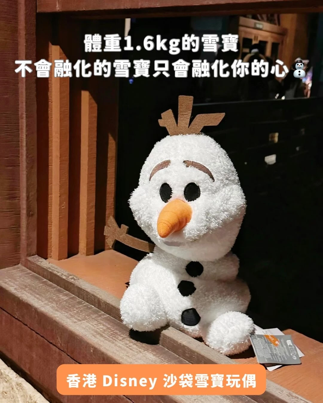香港 Disney 沙袋雪寶玩偶