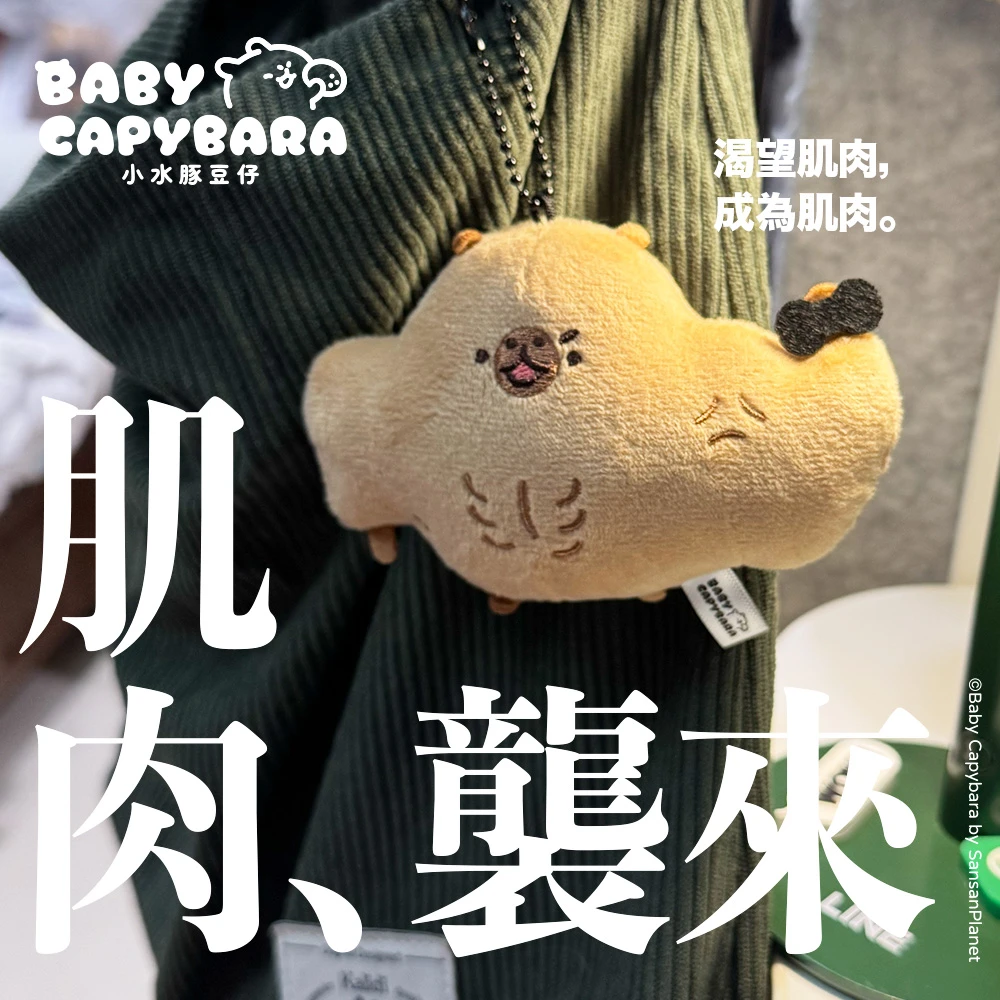 壯壯豚 娃娃