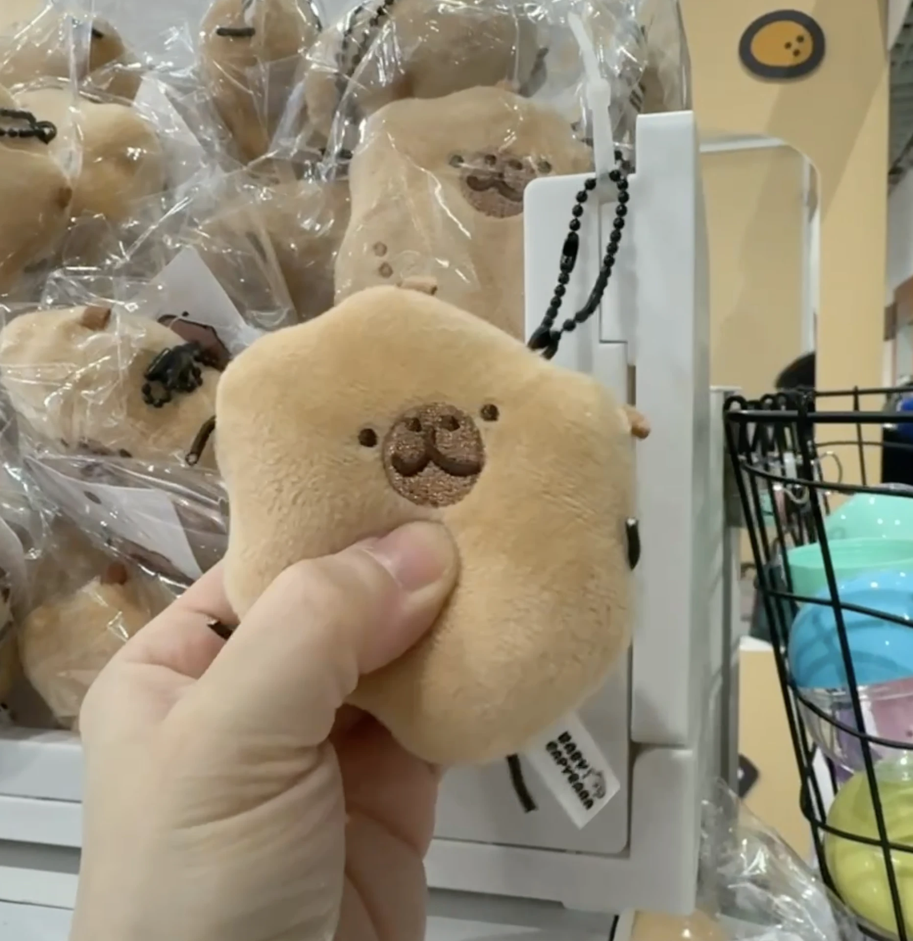 扁扁豚 娃娃