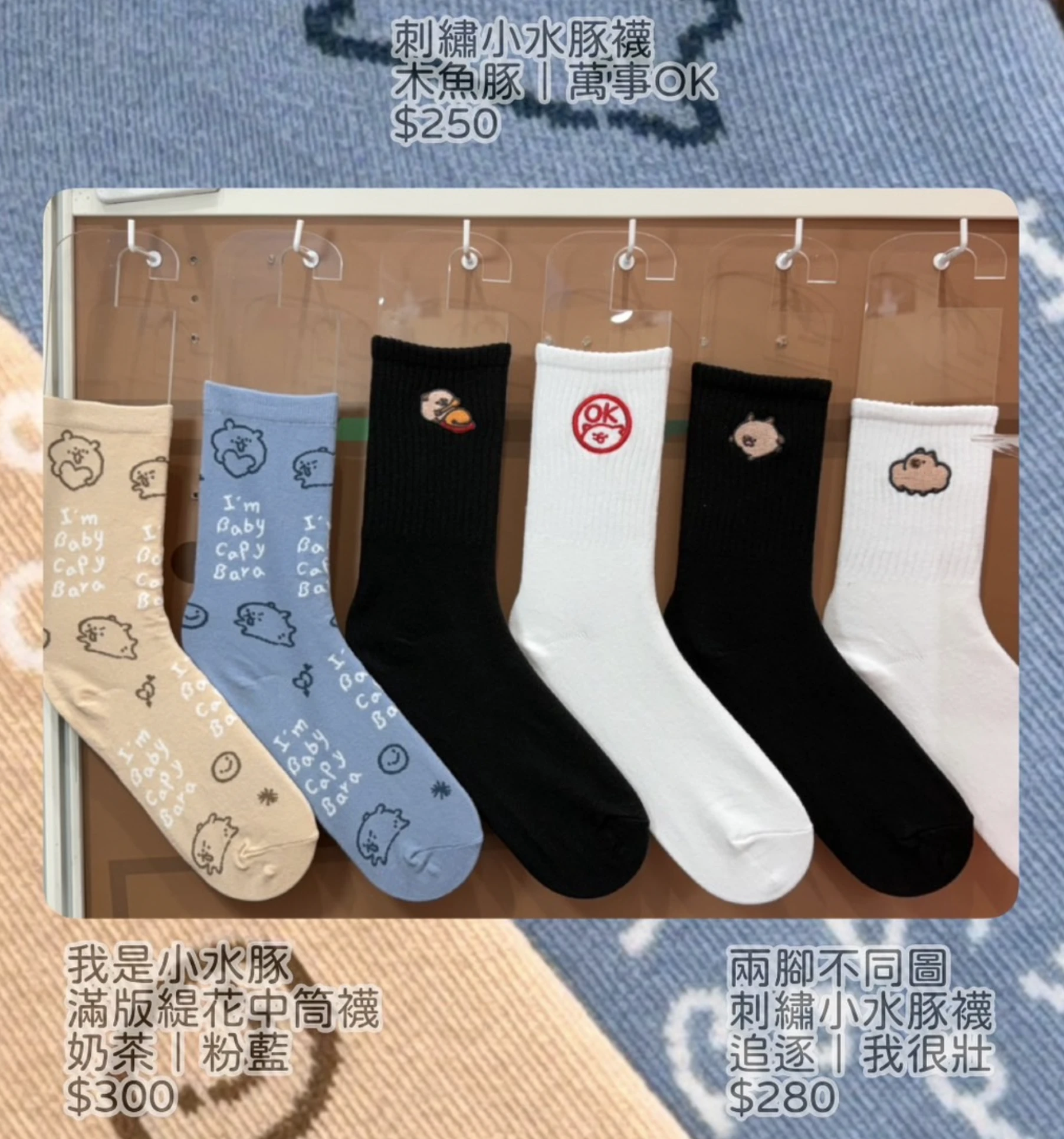 小水豚襪子（共八款）