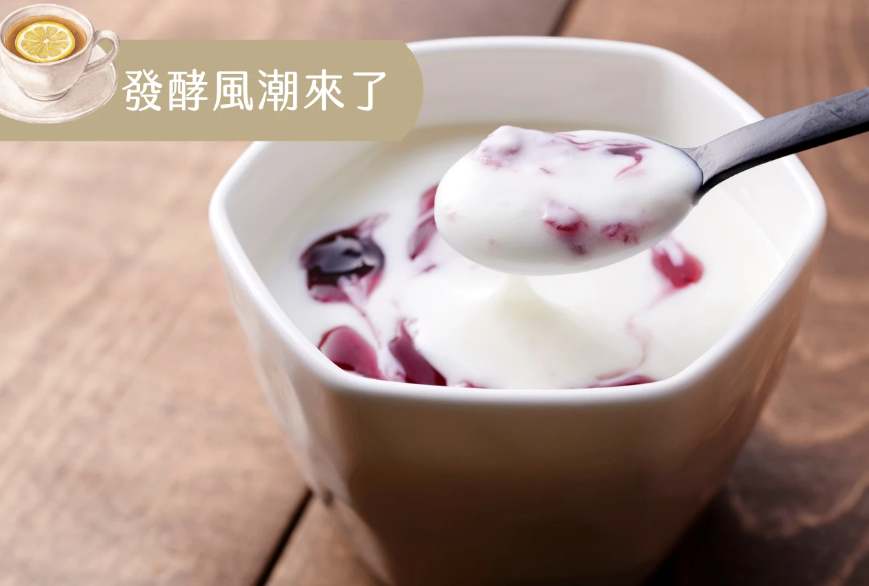 發酵風潮來了：怎麼吃，才真正照顧腸道與健康？