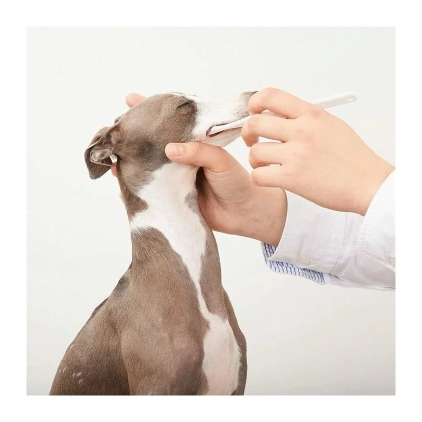 Organics for Dog 有機蘆薈藍莓牙膏75g (犬用)