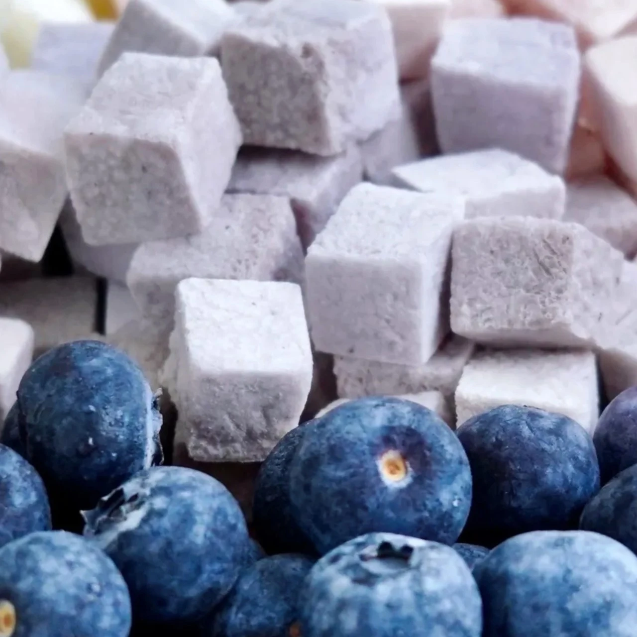 冷凍乾燥 藍莓羊奶凍 Blueberry Goat Milk Cube