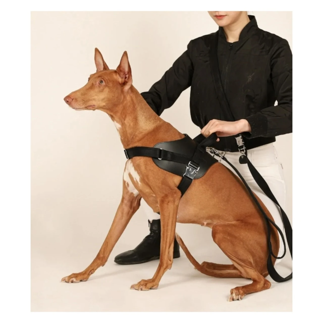 HOZI Saddle Harness馬鞍型寵物胸背