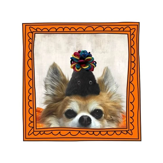 pompomhat |  絨球派對帽    毛怪款