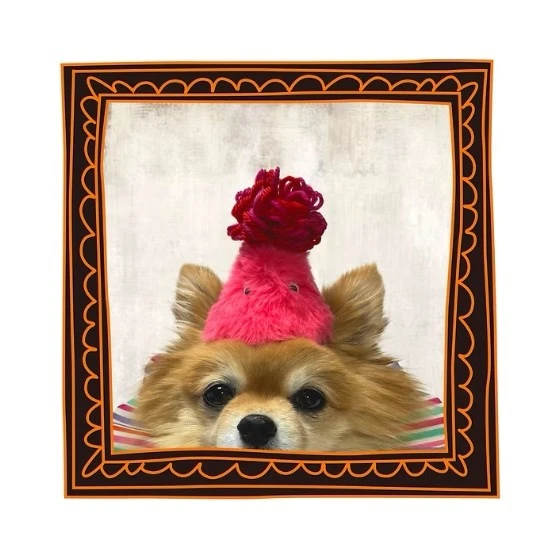 pompomhat |  絨球派對帽    毛怪款