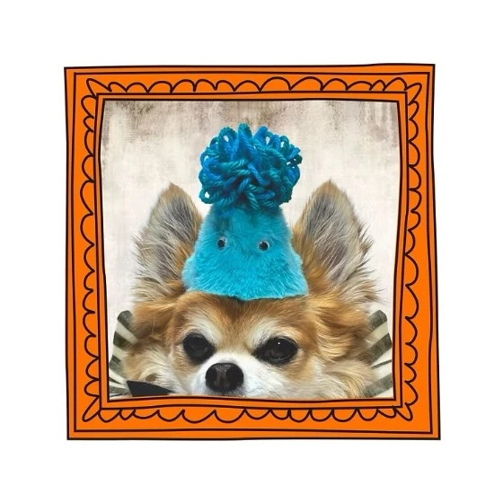 pompomhat |  絨球派對帽    毛怪款