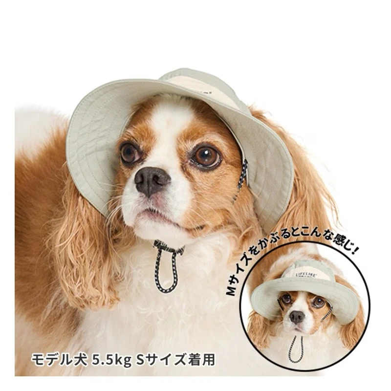 summer cooling sun hat | 夏季涼感遮陽帽