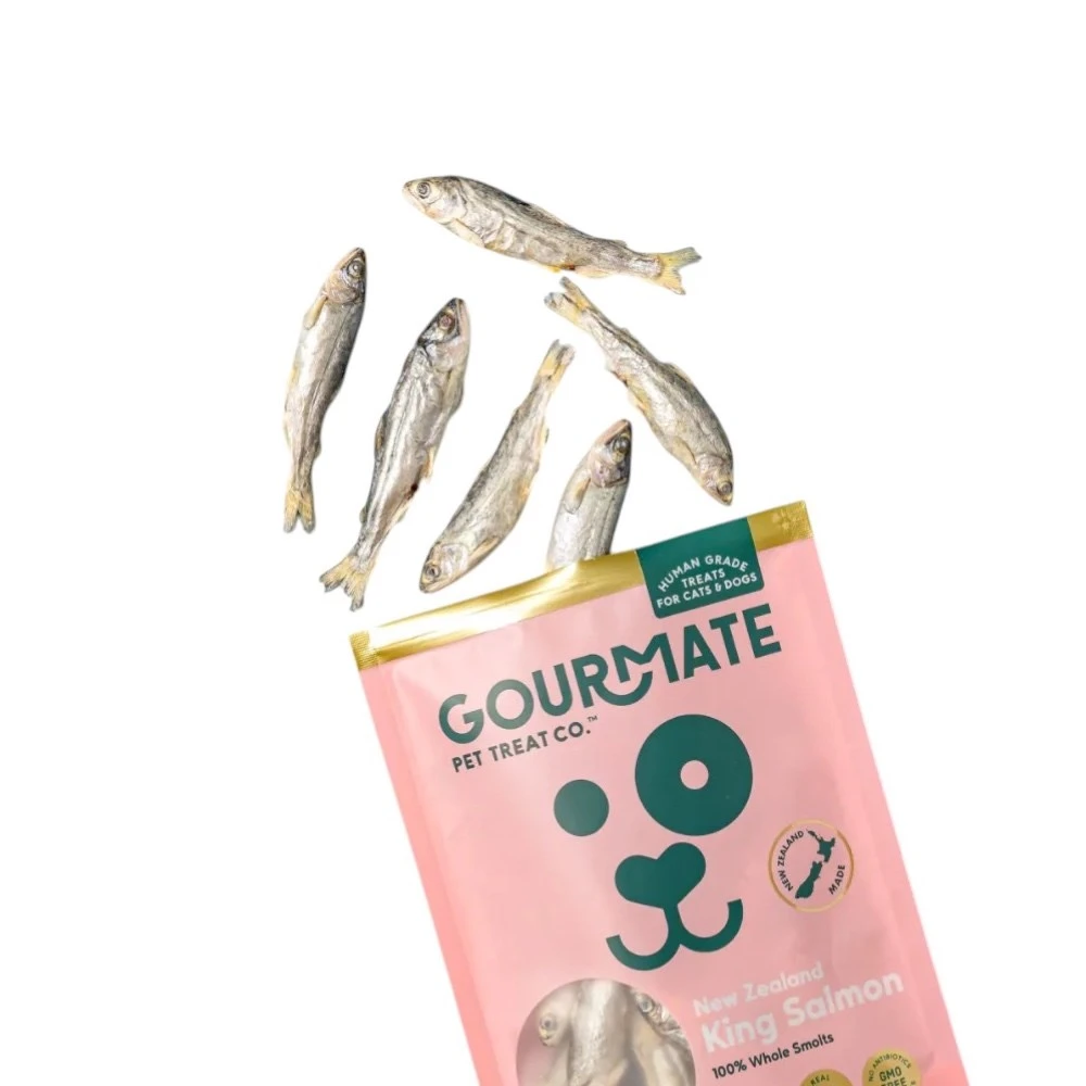 Gourmate 美食家|國王鮭魚小魚乾凍乾 40g