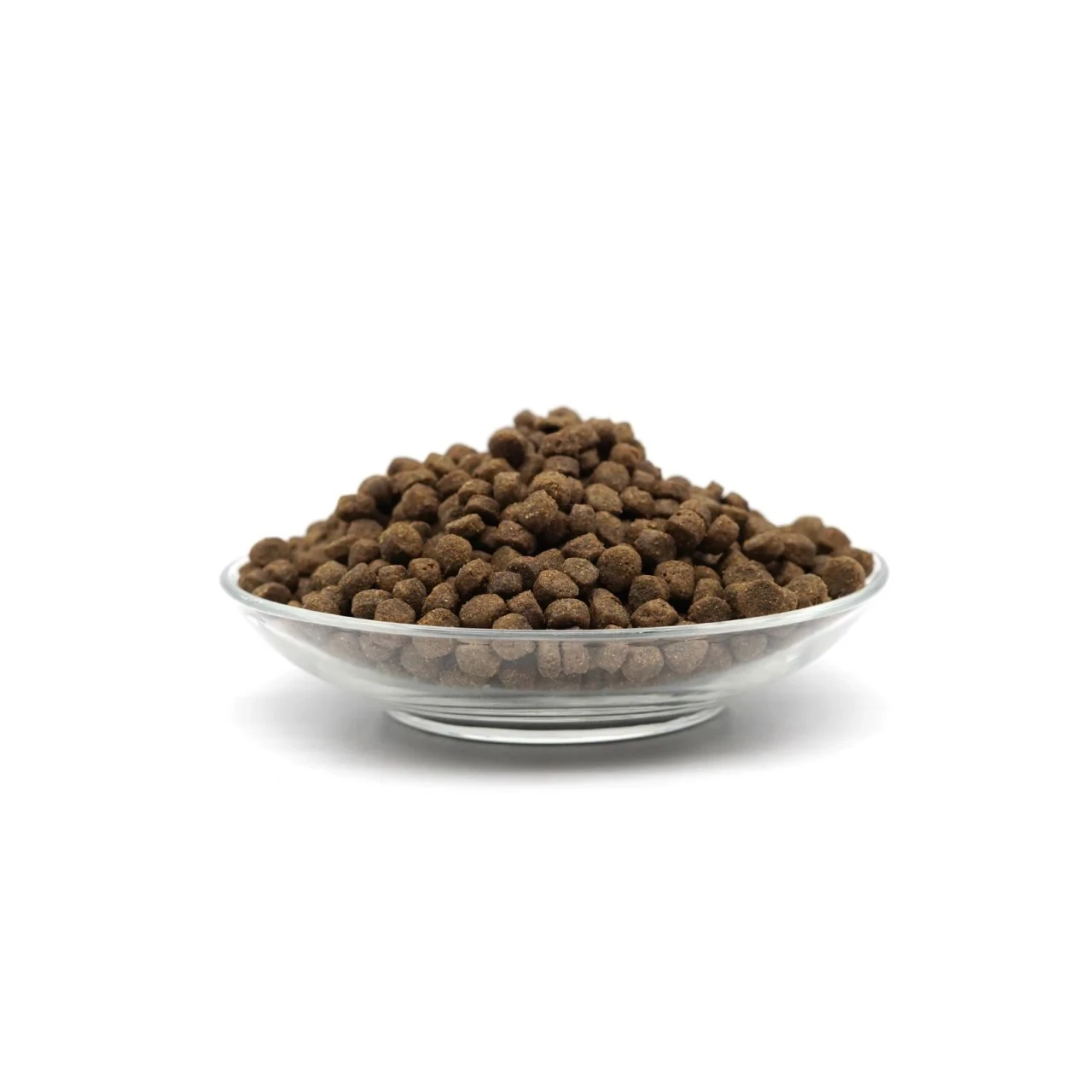 Bellfor 貝爾福｜黑水虻昆蟲蛋白低敏無穀飼料 （中小型全齡犬）皮膚修復・腸胃敏感・改善搔癢