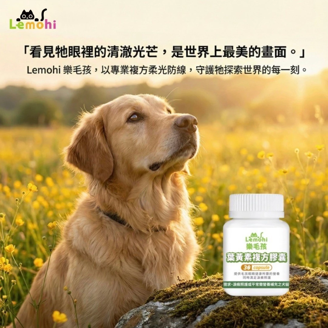 樂毛孩葉黃素複方(30顆)