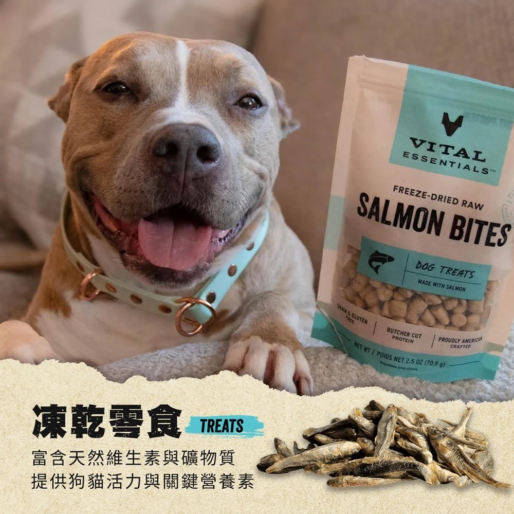 VE凍乾 小魚 零食 (好拿好餵｜關節養護)