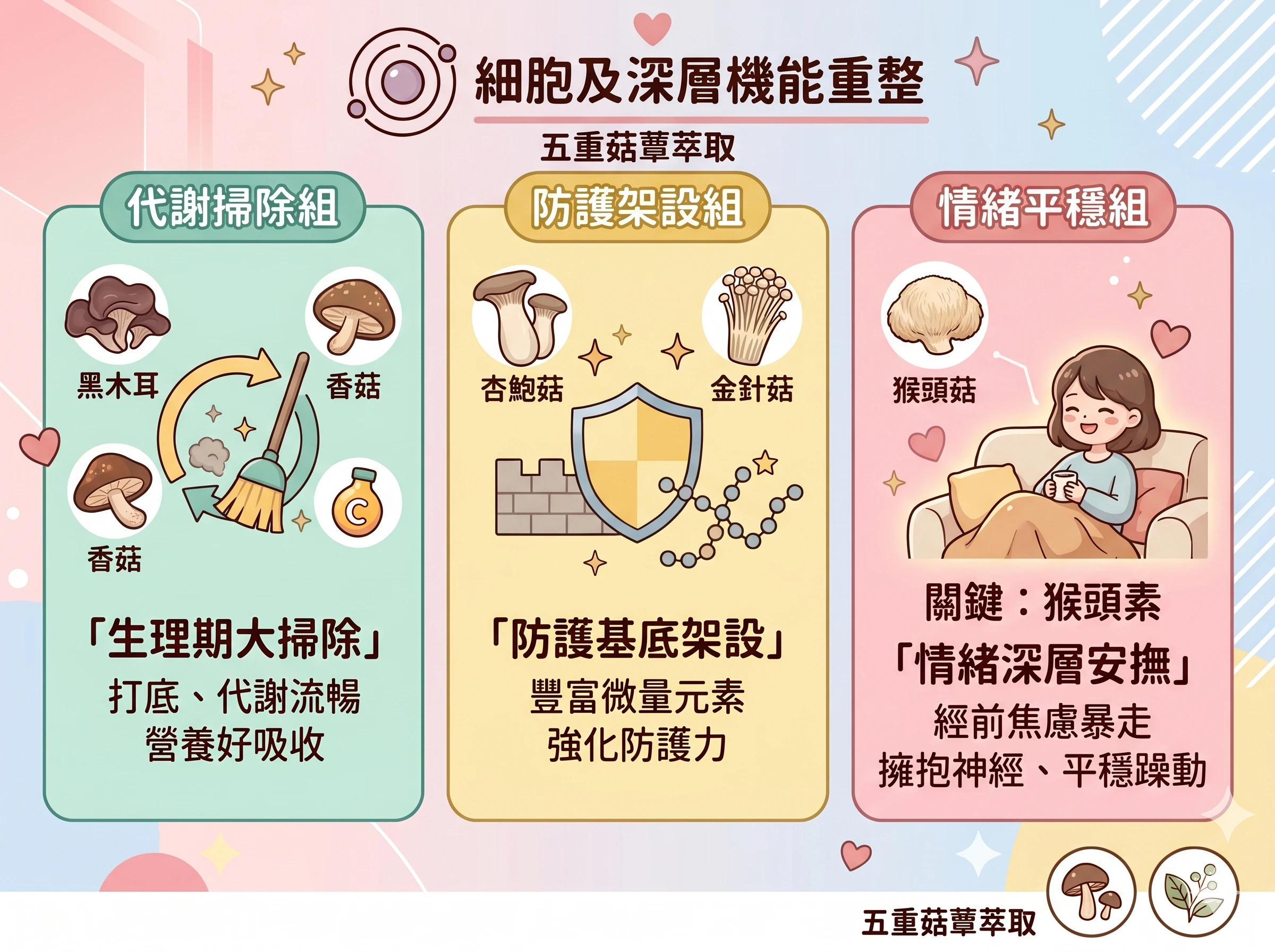 桂妃飲五重菇蕈萃取成分示意，包含杏鮑菇、金針菇、黑木耳、香菇與猴頭菇，搭配草本作為日常營養補給設計。
