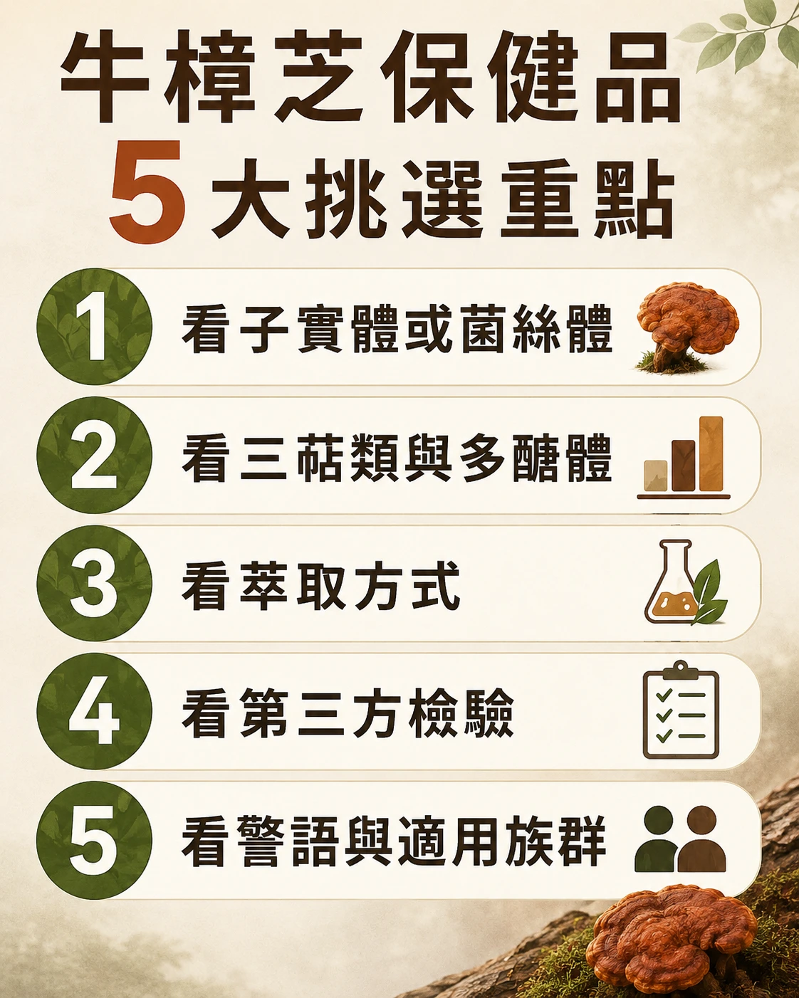 牛樟芝保健品挑選重點，整理子實體、菌絲體、三萜類、多醣體與第三方檢驗。