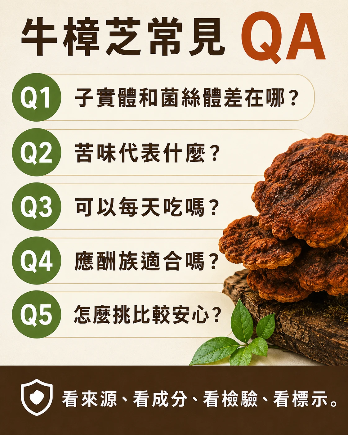 牛樟芝常見問題，整理子實體菌絲體差異、苦味、每日食用與挑選方式。