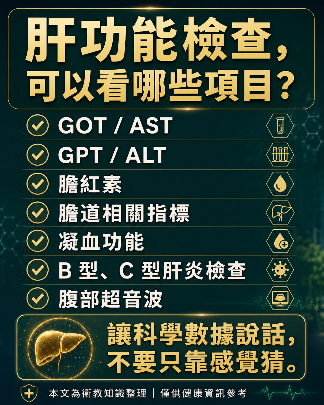肝功能檢查重點,整理GOT、GPT、膽紅素、膽道指標、凝血功能、肝炎檢查與腹部超音波。