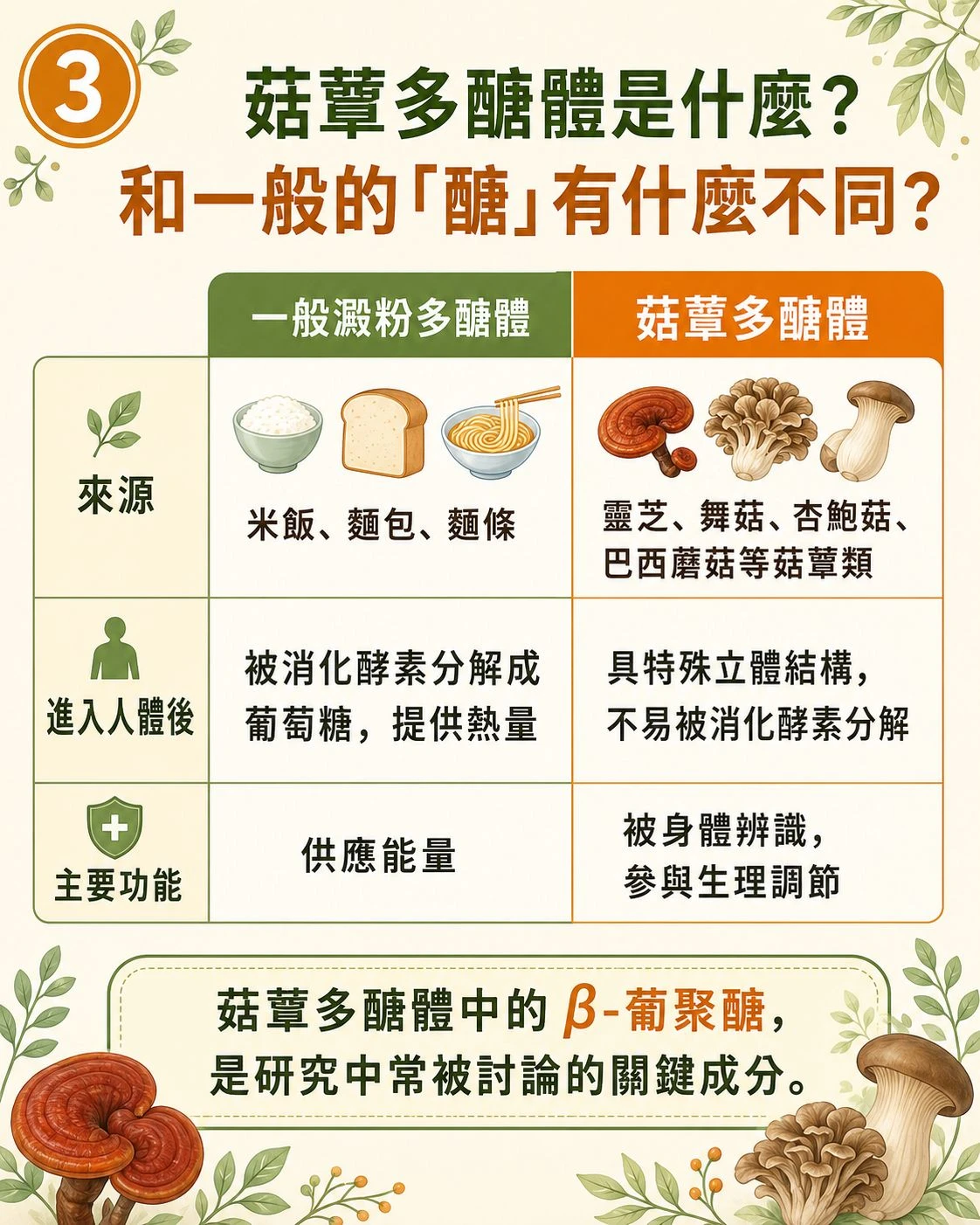 兒童均衡飲食餐盤示意圖，包含蔬菜水果、全穀類、蛋白質、乳製品與油脂，說明孩子日常營養基礎