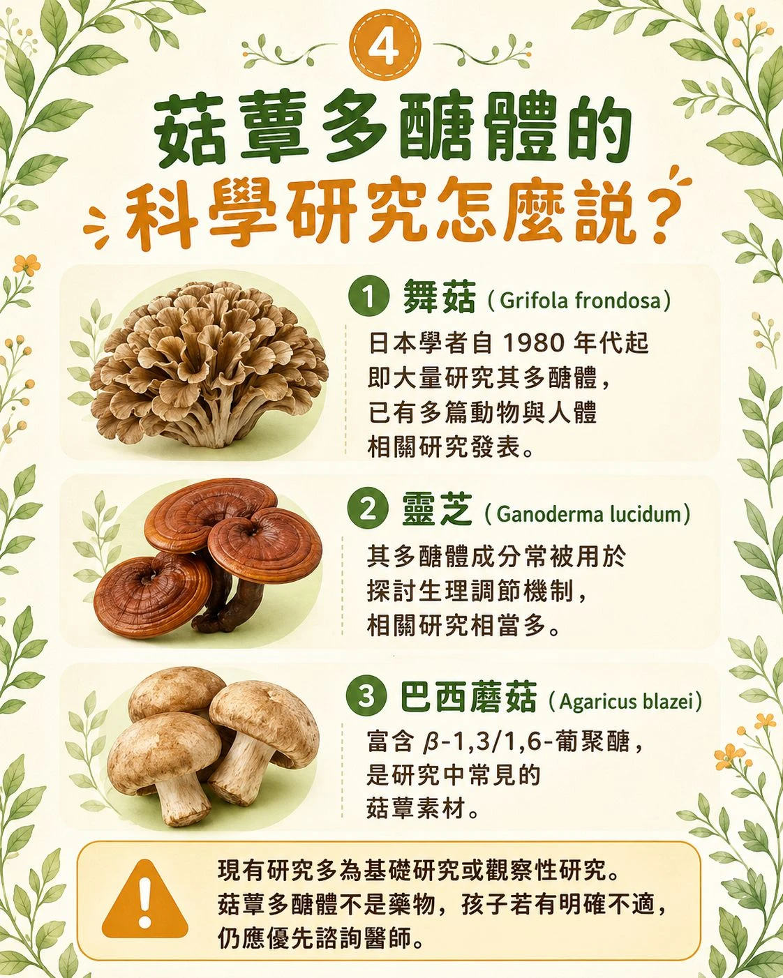 一般澱粉多醣體與菇蕈多醣體對比圖，左側為米飯麵包麵條，右側為舞菇杏鮑菇木耳與巴西蘑菇