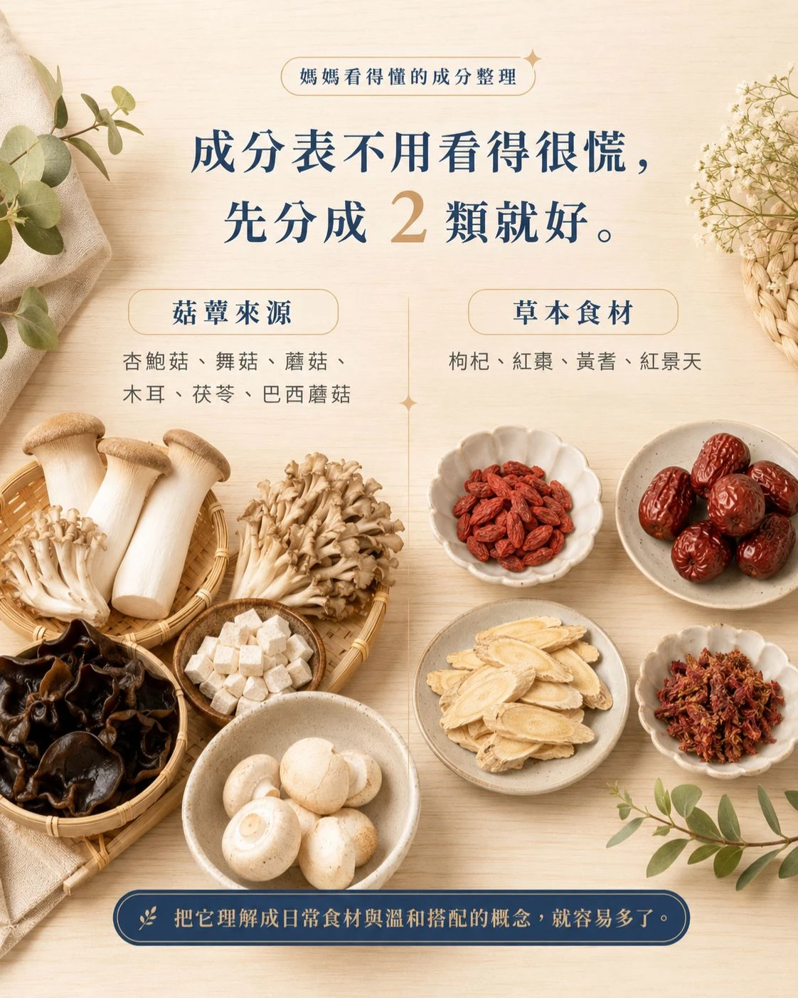 木質餐桌上整理菇蕈來源與草本食材，包含杏鮑菇、舞菇、蘑菇、木耳、茯苓、巴西蘑菇、枸杞、紅棗、黃耆與紅景天