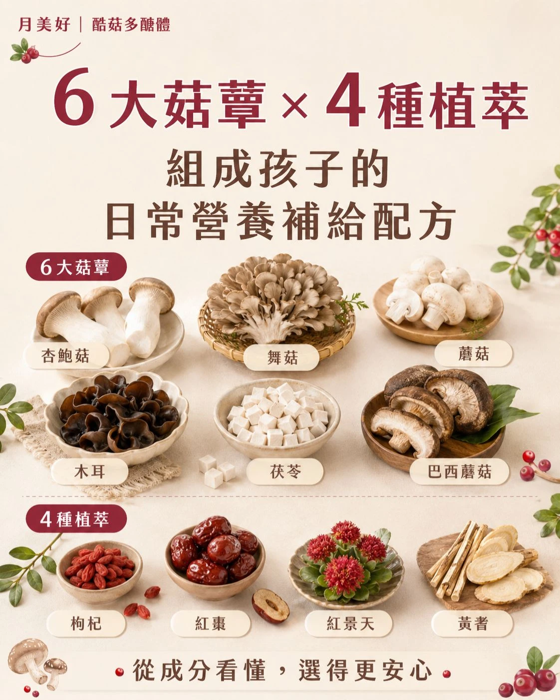 酷菇多醣體成分解析圖，展示杏鮑菇、舞菇、蘑菇、木耳、茯苓、巴西蘑菇，以及枸杞、紅棗、紅景天、黃耆等成分