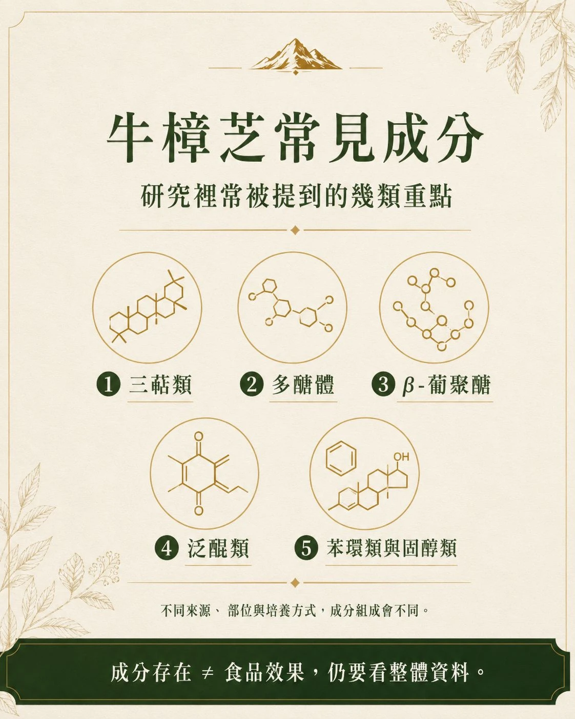 牛樟芝常見成分總覽,整理三萜類、多醣體、β-葡聚醣、泛醌類、苯環類與固醇類