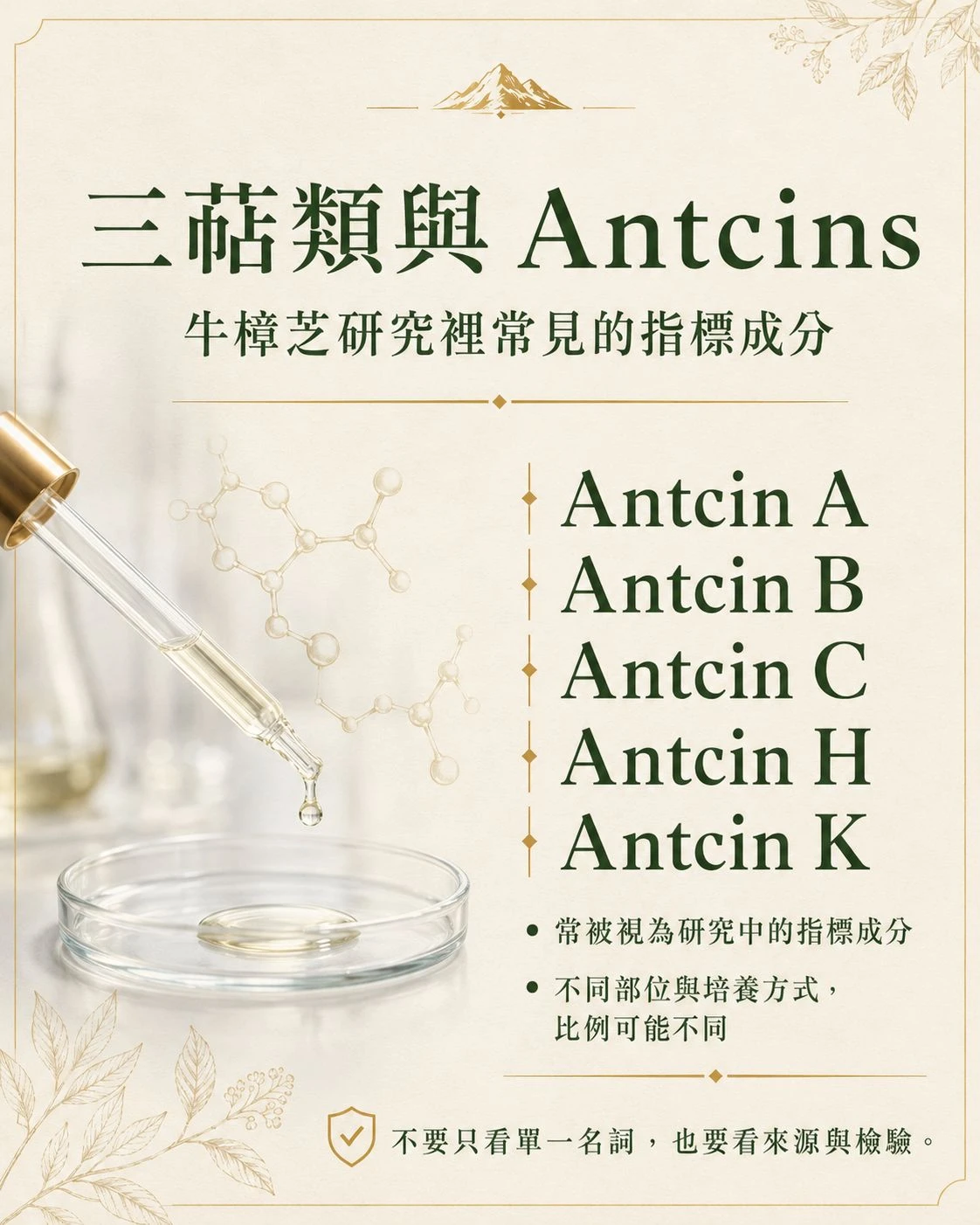 牛樟芝三萜類與 Antcins 介紹,整理 Antcin A、B、C、H、K 與成分檢驗重點