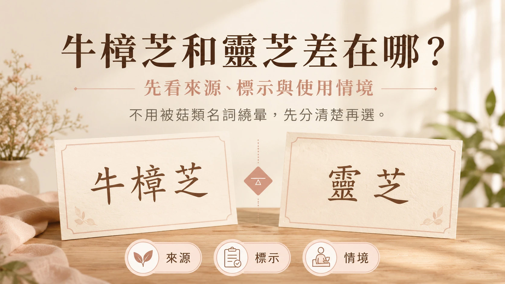 牛樟芝和靈芝差異的入門比較與選購方向