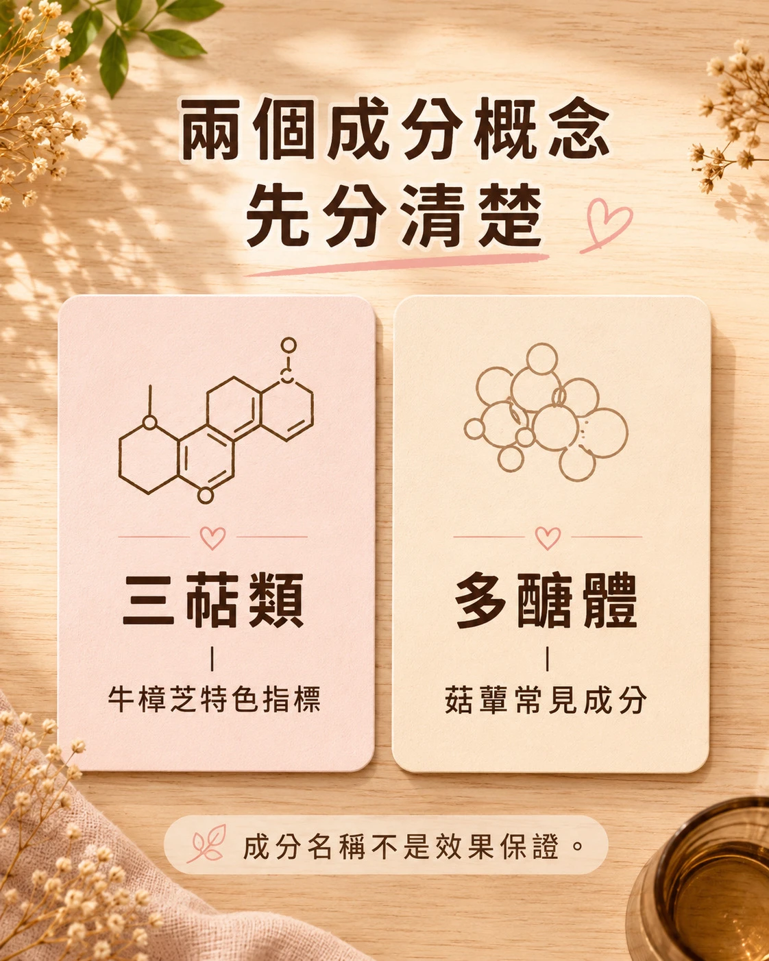 牛樟芝三萜類與多醣體兩種成分概念整理