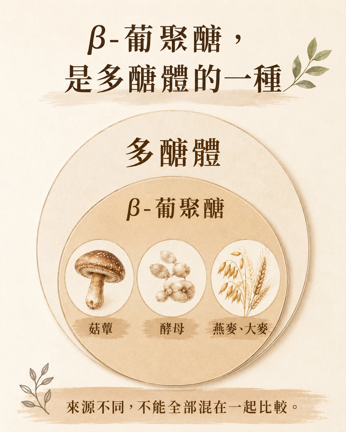 &beta;-葡聚醣是多醣體中的一種結構類型，常見來源包含菇蕈、酵母、燕麥與大麥